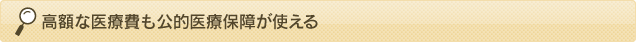 高額な医療費も公的医療保障が使える