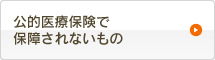 公的医療保険で保障されないもの