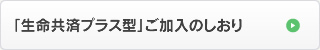 「生命共済プラス型」ご加入のしおり