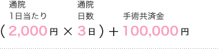 （通院1日当たり2,000円×通院日数3日）＋手術共済金100,000円