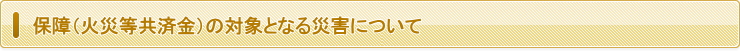 共済金の対象となる災害について