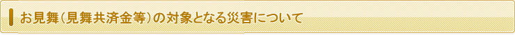 お見舞金等の対象となる災害について