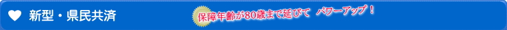 新型・県民共済