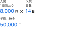 入院1日当たり8,000円×入院日数14日 手術共済金50,000円