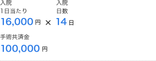 入院1日当たり16,000円×入院日数14日 手術共済金100,000円