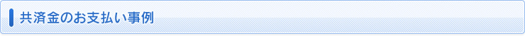 共済金のお支払い事例