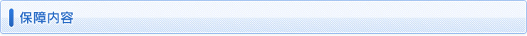 保障内容