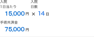 入院1日当たり15,000円×入院日数14日 手術共済金75,000円