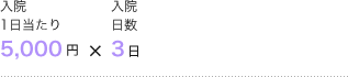 入院1日当たり5,000円×入院日数3日