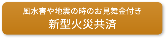 新型火災共済